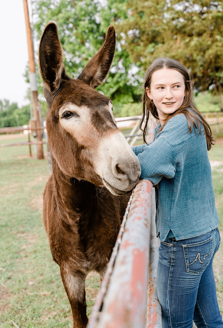 Screenshot 2023-05-17 at 11.40.50 PM